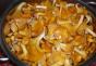 Recipes for preparing pickled chanterelles for the winter at home