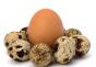 Kalorijski sadržaj meko kuvanih jaja