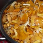 Recipes for preparing pickled chanterelles for the winter at home