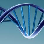 Histoire du développement de la génétique en tant que science