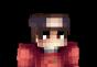 Les skins Minecraft sont rares et beaux