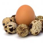 Teneur en calories des œufs à la coque